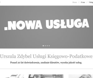 usługi księgowo-podatkowe