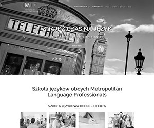 Metropolitan Language Professionals